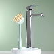 High Quality Pot Brush Shower Brush with Long Handle
