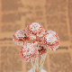  New Type Hot Sale 6mm Chinese Rose Sola Flowers Rattan Sticks Chrysanthemum Reed Diffuser Real Fragrance Artificial Dry Flower for Bath Room Decor Aroma