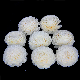  Europe Standard Glass Aroma Bottle Flowers 3′′ Diffuser Artificial Succulent Essential Oil Reed Sola Flower for Fresh Air
