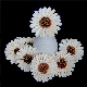  Modern 4mm Rose Home Decor Sun Flower Aromatherapy Diffuser Chrysanthemum Dried Flowers Packed in Plastic Box