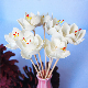  Natural Material Aromatherapy Reed Wood Flowers Decorative Aromatherapy Flower for Home Fragrance
