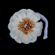  Factory Wholesale Price 6mm 7mm 9mm Beautiful Reed Diffuser Flowers Colorful Aroma Handmade Sola Flower for Home Fragrance