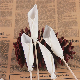  Supply 2mm 5mm Thanliand Common Calla Peony Daisy Sun Flower Diffuser Oil Aroma Dry Flower for Perfume Essense
