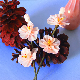  Special Design Hotel Decor Art Craft Peach Blossom Shape Reed Diffuser PE Dry Sola Artificial Flower for Air Freshener
