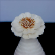  Best Match 2mm 4mm 6mm Good Looking Nature Essential Oil Diffuser & Reed Sola Flower Packed in Box
