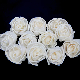  Top Sales 5mm 7mm 8mm Reed Diffuser Set Ratten Sticks Plastic Fake PE Dry Flower with Box Packing
