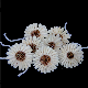  New Design Professional 3mm 6mm Elegant Oil Reed Diffuser Sun Flower Shape Sola Wood Flowers for Essense Oil