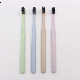  Custom Unique Personal PP/Nylon/Wheat Straw Oral Care Adult Toothbrush