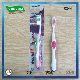  Oral Dental Care Adults′ Toothbrush with Anti-Slip Handle