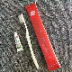  Disposable Sachet Toothbrush with Hotel Amenities for Hotel Room Using