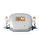  2 Handles Scar Removal RF Microneedling Catridges Better Than Derma Roller Miconeedle