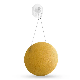  Organic Konjac Sponges Eco Friendly Biodegradable Konjac Sponges BPA Free