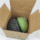  Melason Private Label Konjac Sponge 100% Natural Wholesale for Body Face Cleaning Eco-Friendly Facial Washing Sponge Conjac