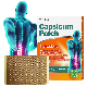  Medical Pain Relief Patch Capsicum Plaster Herbal Body Pain Relief Capsicum Plaster for Back Muscle Joint Neck Knee Pain Relief