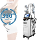  2023 New Arrival Criolipolyse Freeze Fat Body Slimming Device