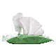  100% Pure Cotton Hygiene Wipes