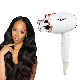  Mini Low Radiation High Speed One Step Oval Styler Portable