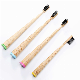  100% Natural Bamboo Toothbrush Cone Handle