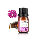  100% Pure Clove Oil Price Clove Essential Oil Aromatherapy Clove Leaf Oil