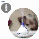 New Car Scents Essential Oil for Office Aroma Diffuser