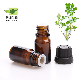  ODM/OEM 100% Natural Essential Wormwood SPA Oil Relaxing Body Massage Oil Wormwood Oil