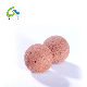  Vagina Clean Tampon Vaginal Care Peals for Treat Vaginitis and Erosion of Cervix