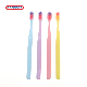  Custom Unique Personal PP/Nylon Oral Care Adult/Travel Toothbrush Best