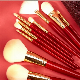  10PCS Fantasy Face Brush Foundation Blending Blush Free Synthetic Makeup Brush Set with Cosmetic Bag