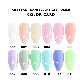  HS 2023 New Arrival Private Label 12 Colors Soak off UV LED Translucent Nail Gel Polish