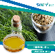  Factory Wholesales High Purity CAS. 8006-84-6 Fennel Oil 99.9%