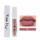  Your Own Brand Cosmetics High Pigment Moisturizing Lip Gloss Matte
