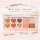 Newest Style Waterproof 3 in 1 Cosmetics Kits Highlight Contour Blush
