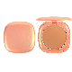  Hot Sale Factory OEM/ODM Long-Lasting Pressed Powder for Face