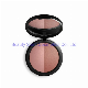  OEM Cosmetics Makeup Shimmer Matte Blush