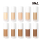  Private Label 10 Colors Full Coverage Waterproof Cc Cream Concealer Moisturizing Liquid Foundation Makeup