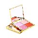  Professional Beauty Cosmetics Make up 4 Colors Waterproof Silky Powder Eyeshadow Palette