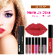 Professional Factory Makeup Lip Gloss Private Label Makeup Maquillaje