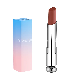  High Quality OEM Matte Lipstick Cosmetics