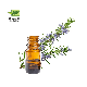  Hair Growth Non-Greasy Improves Scalp Circulation Rosemary Essential Oil