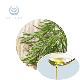  Factory Supply Rosmarinus Officinalis L. Soulflower for Hair Growth Organic Rosemary Essential Oil