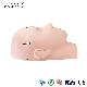  Mengfan China Mannequin Dummy Factory Wholesale Silicone Flat Model Heads Extensions Makeup Tools Practice Lash Rubber Eyelash Extension Training Lash Mannequin
