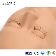  Mengfan China Mannequin Eyelashes Manufacturer Practice Tool Lash Training Heads Eyelash Extension Mannequin Head Hot Sale Mannequin Head for Lash Extensions