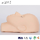  Mengfan China Eyelash Extension Dummy Manufacturers Custom Silicone Eyelash Mannequin Head Lash Training for Eyelash Extension Beginner Practice Training Head