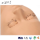  Mengfan China Lash Mannequin Kit Suppliers Wholesale Custom Silicone Eyelash Extension Training Mannequin Head Flat Model Practice Training Head with Eyelids