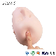  Mengfan China Eyelash Head Suppliers New Mannequin Head with Lashes Wholesale Customized Color Eyelash Extension Training Mannequin Head with Removable Eyelids