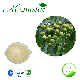  Soapnut Soapberry Extract, Natural Soapnut Extract for Shampoo, Launtry Soap, Hand Sanitizer