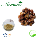  Soapberry/Soapnut Extract Saponins for Laundry Pod