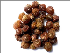  Chemical-Free Detergents With100% Natural Aritha/Reetha/Ritha/Soapnut/Soapberry Extract