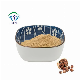  Factory Supply Sapindus Mukorossi Extract Soapnut Fruit Extract Sapindus Saponaria Extract