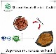  Sapindus Mukorossi Extract Used in Daily Cleaning Supplies